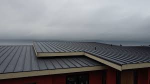 Best Roof Ventilation Installation  in Mount Sterling, KY